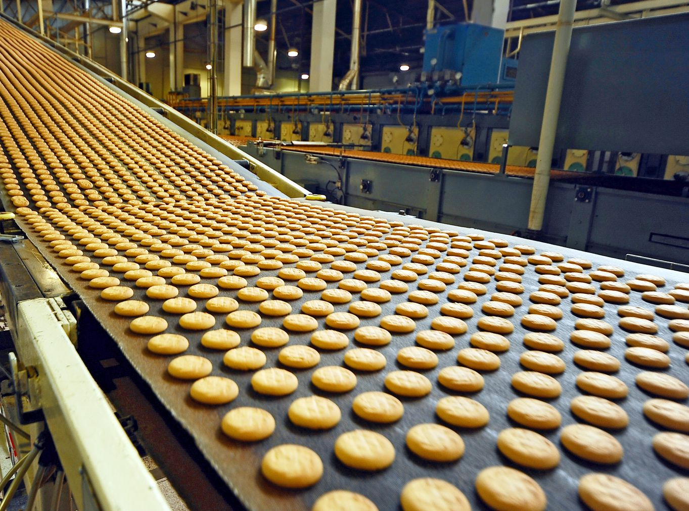 Kexproduktion på transportband genom ugnslinje
